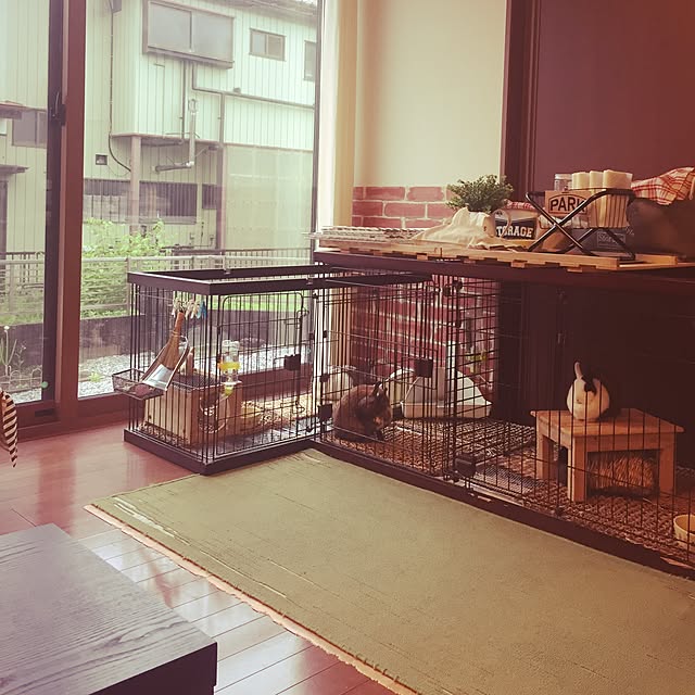 rieさんの実例写真