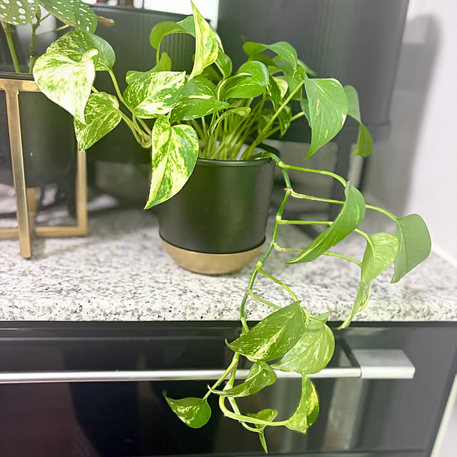 m.Reikoさんの部屋