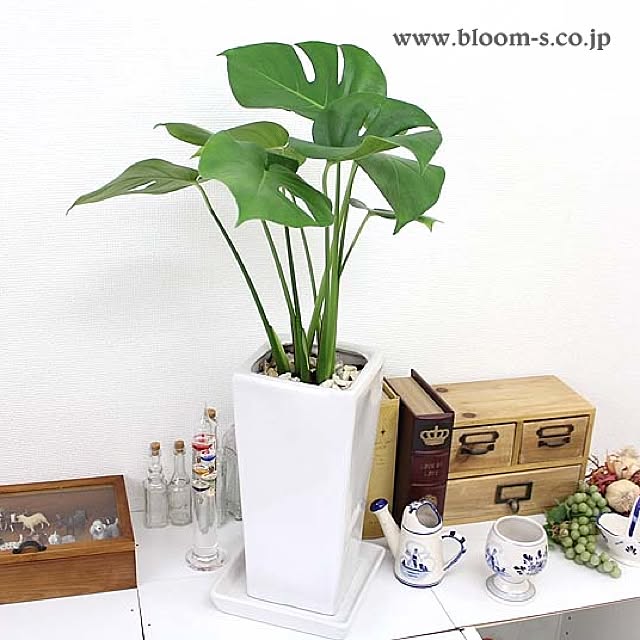 BloomingScapeさんの実例写真
