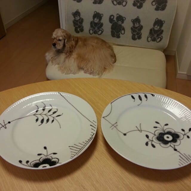 evetamaさんの実例写真