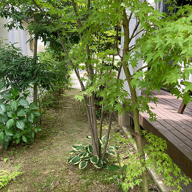 mkさんの実例写真