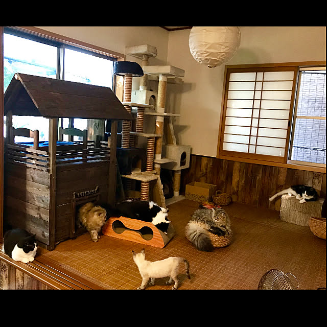 butachanさんの実例写真