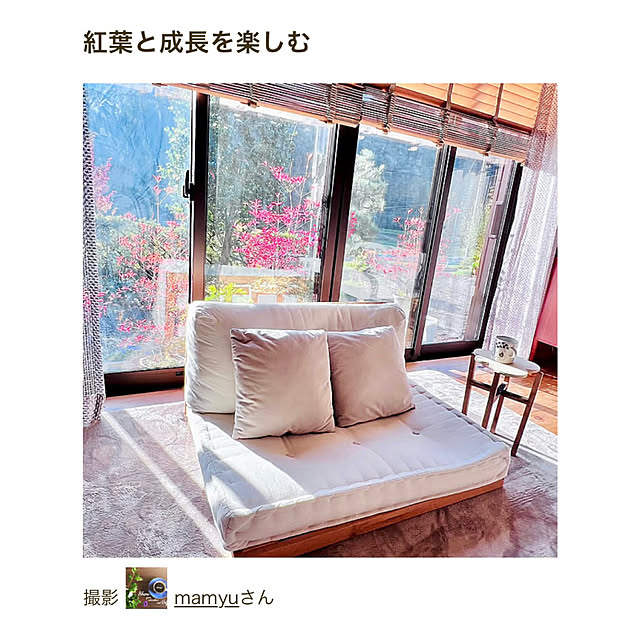 mamyuさんの部屋