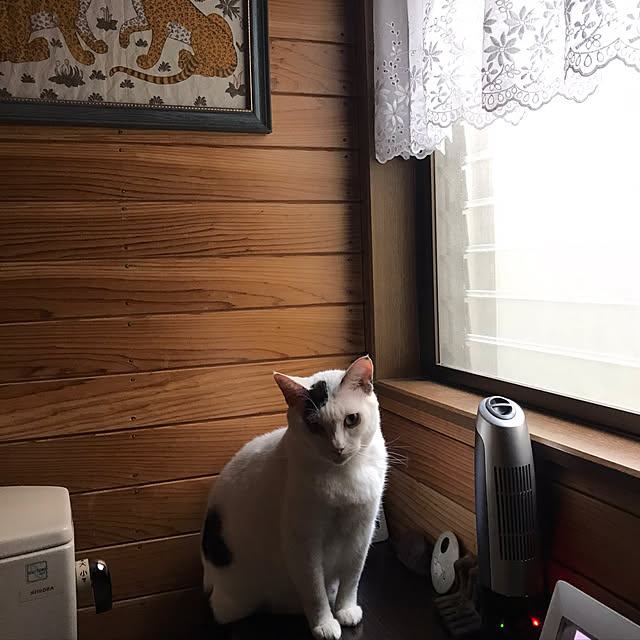 miseiさんの実例写真