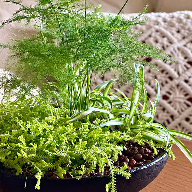 Kyouさんの部屋