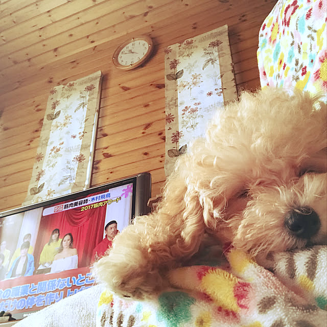 waraihiroさんの実例写真