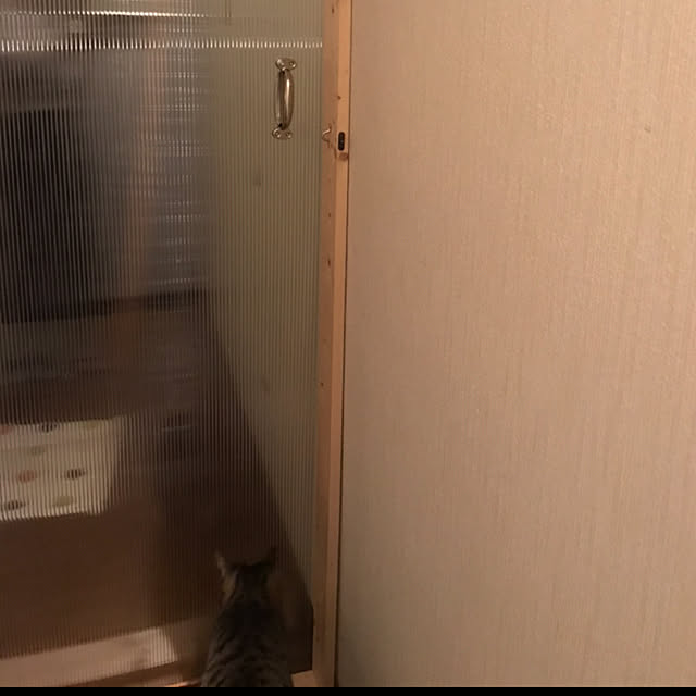 mori-6.12さんの実例写真