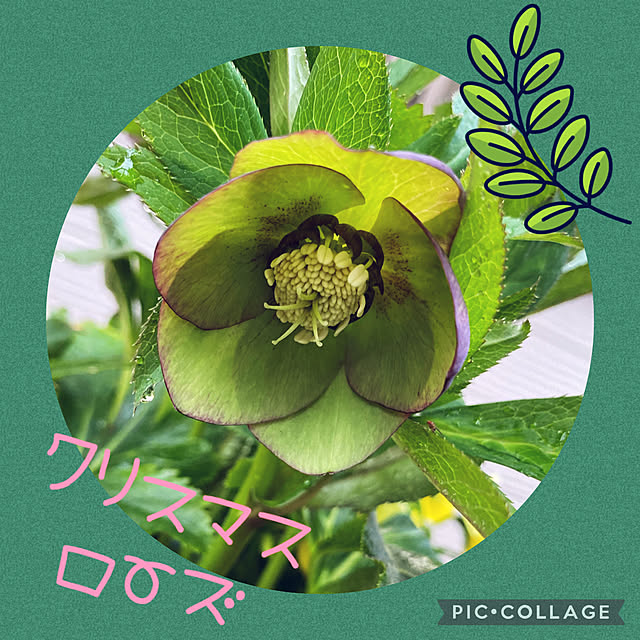 Smilkazuさんの実例写真