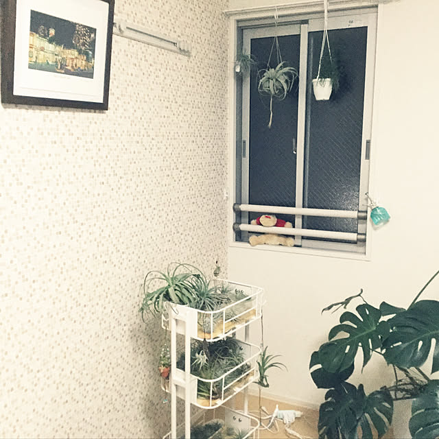 kotaroさんの実例写真