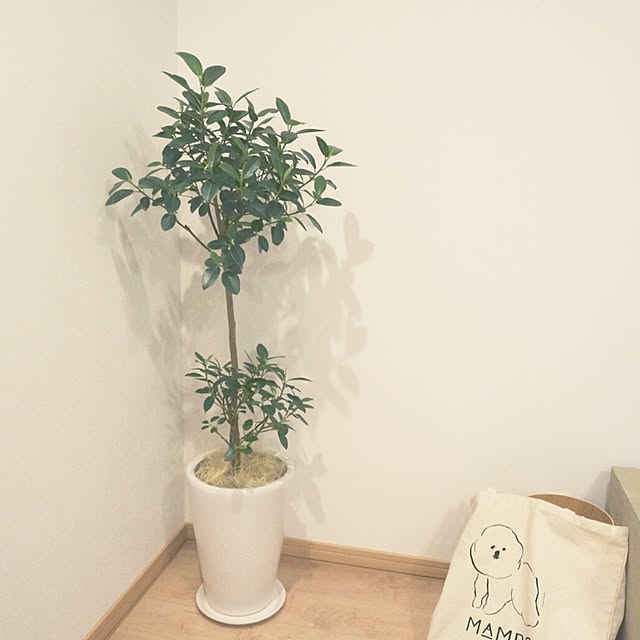 chipさんの実例写真
