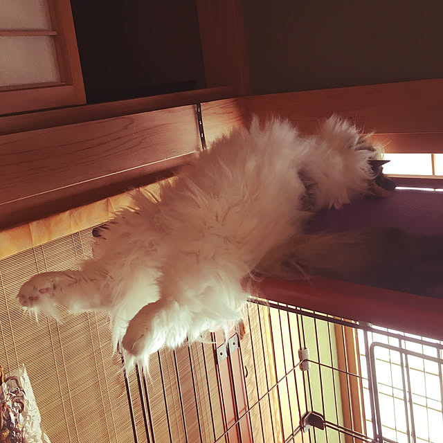 uraraさんの実例写真