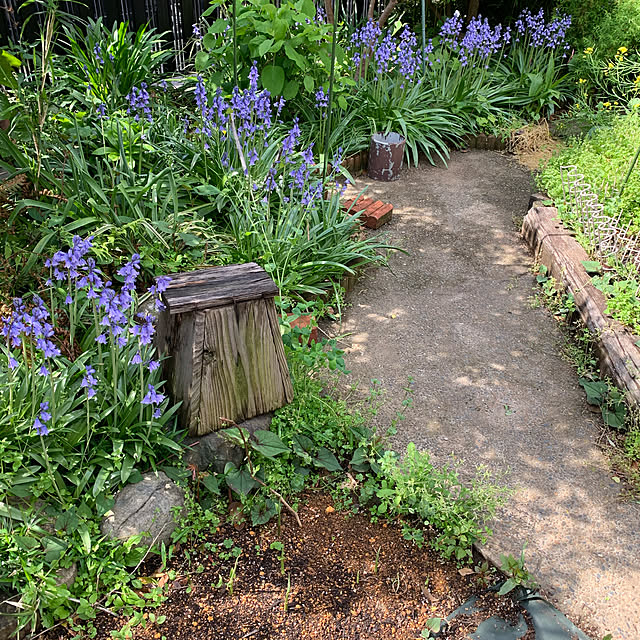 romiromiさんの実例写真