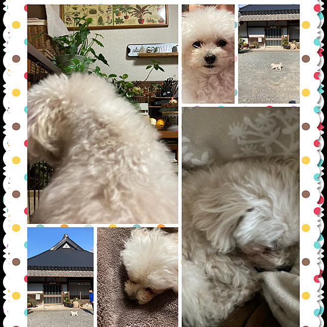 cota2さんの実例写真
