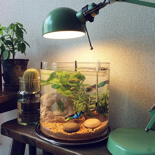 Koikeさんの実例写真