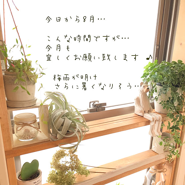 nikoさんの実例写真