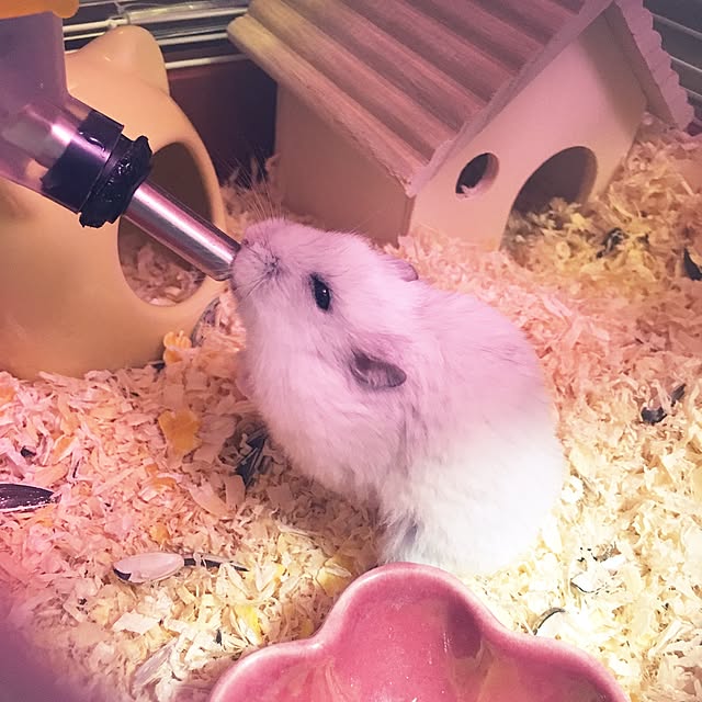 mikaさんの実例写真