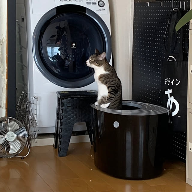 chihiroさんの実例写真