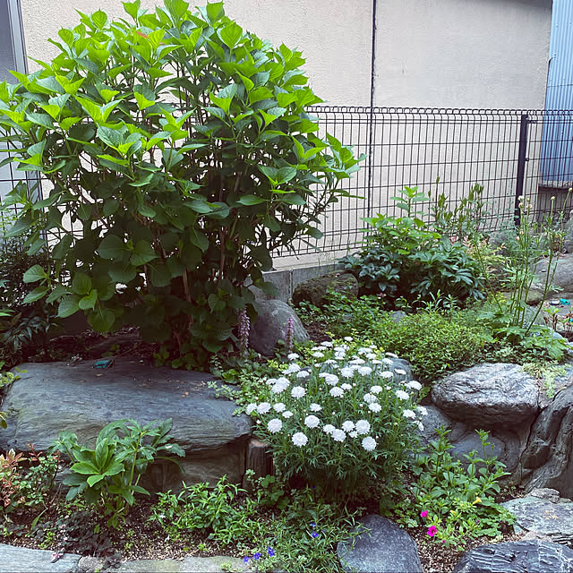 mamitasさんの実例写真