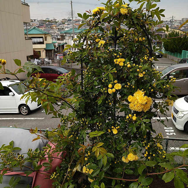 kanako97さんの実例写真