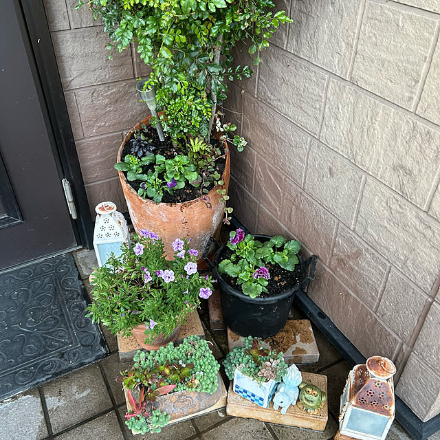 ritsukoさんの部屋