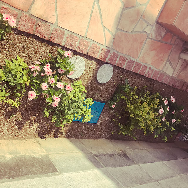 Sweetpeaさんの実例写真