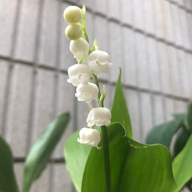 KaiKaiさんの部屋