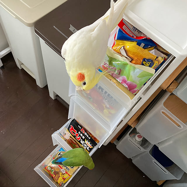 toratanさんの実例写真