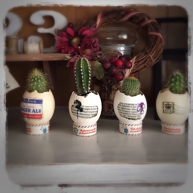 mintさんの実例写真