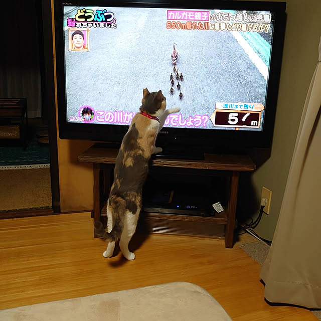 fukuさんの実例写真