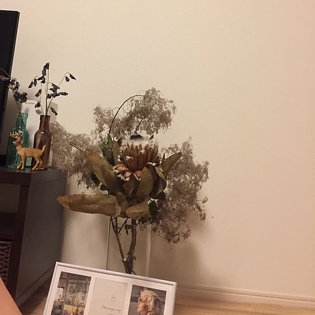 Harukaさんの実例写真