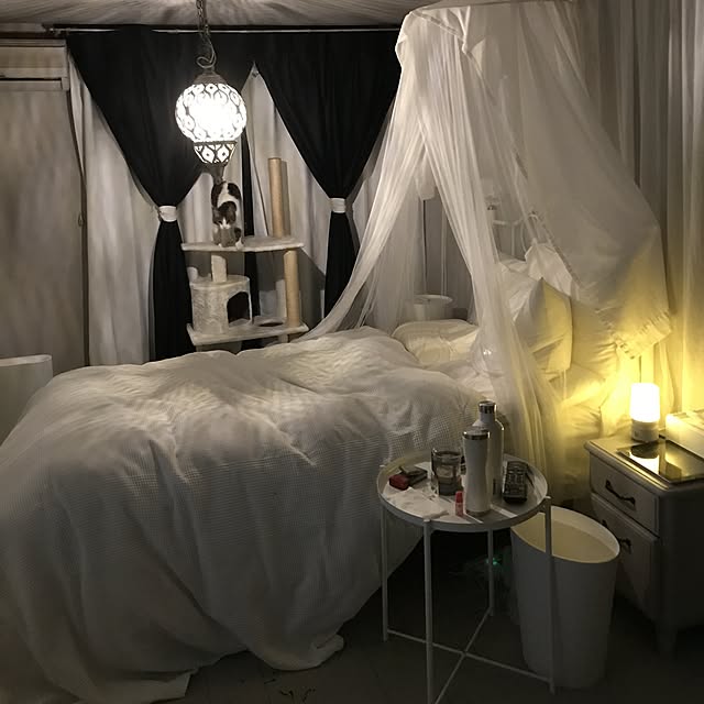 Shihoさんの実例写真