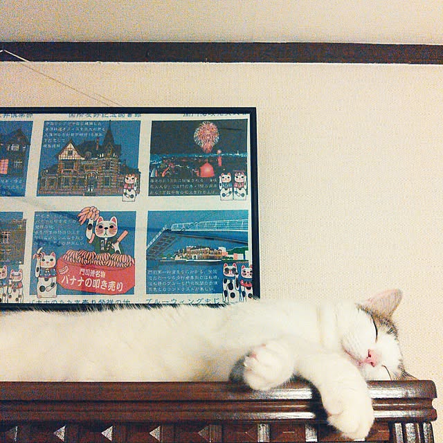 amelliaさんの実例写真