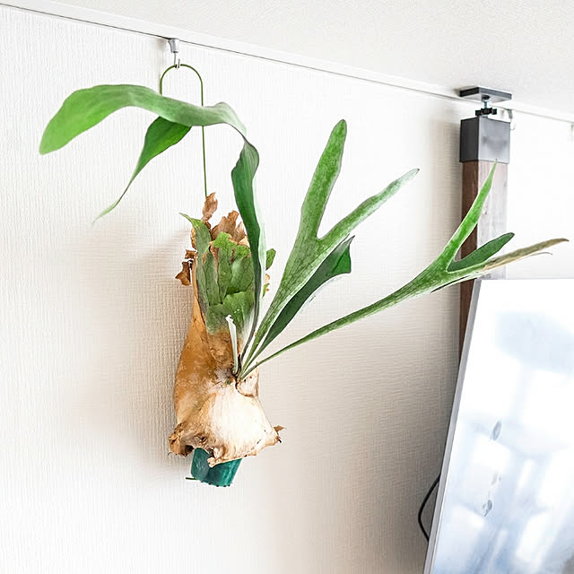 OurOsakaHomeさんの実例写真