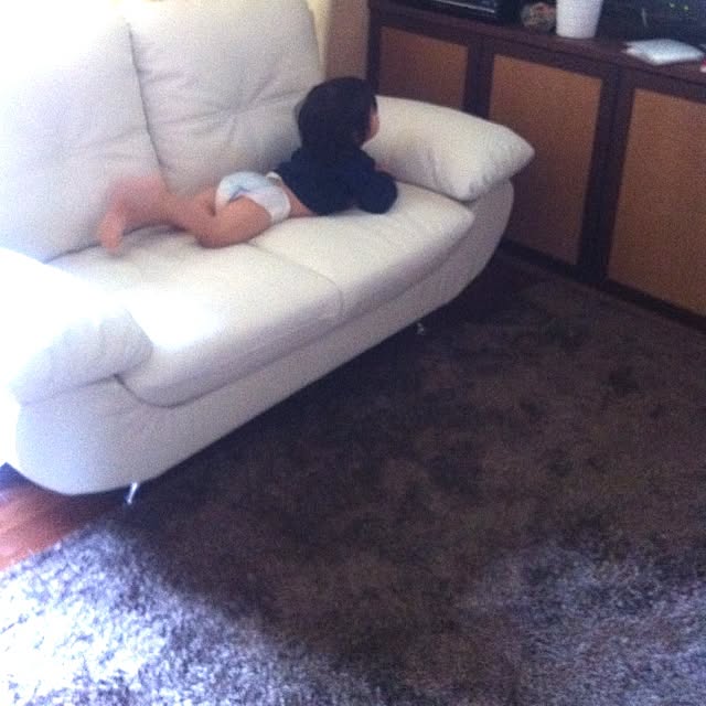 micciさんの実例写真
