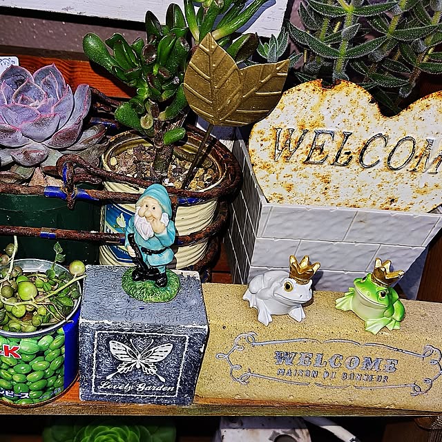 katさんの部屋