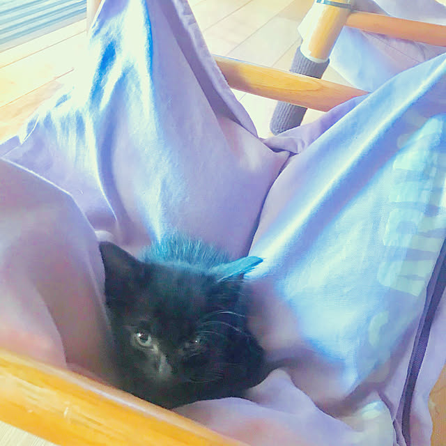 maroさんの実例写真