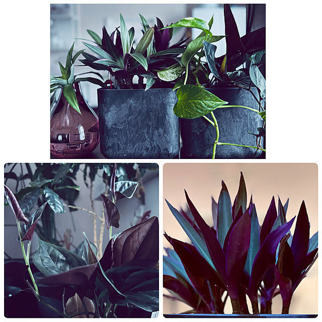 usagiさんの部屋