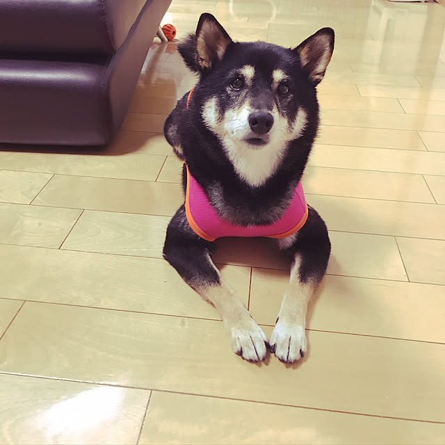 ume1202さんの実例写真