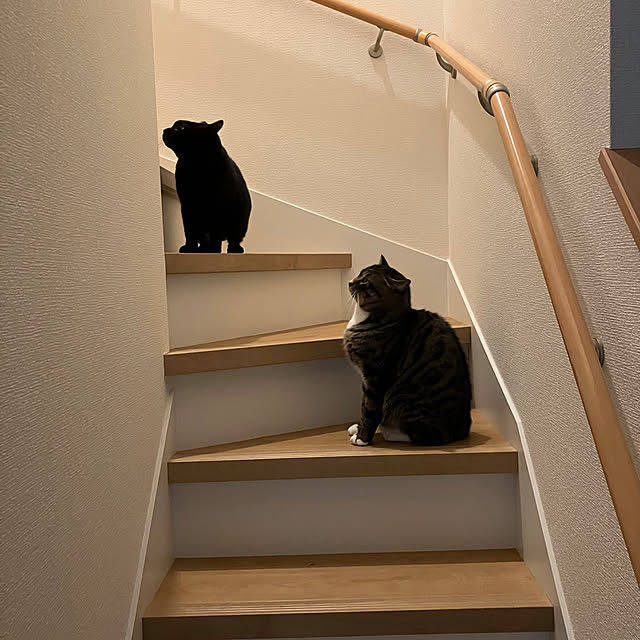 tangosanさんの実例写真