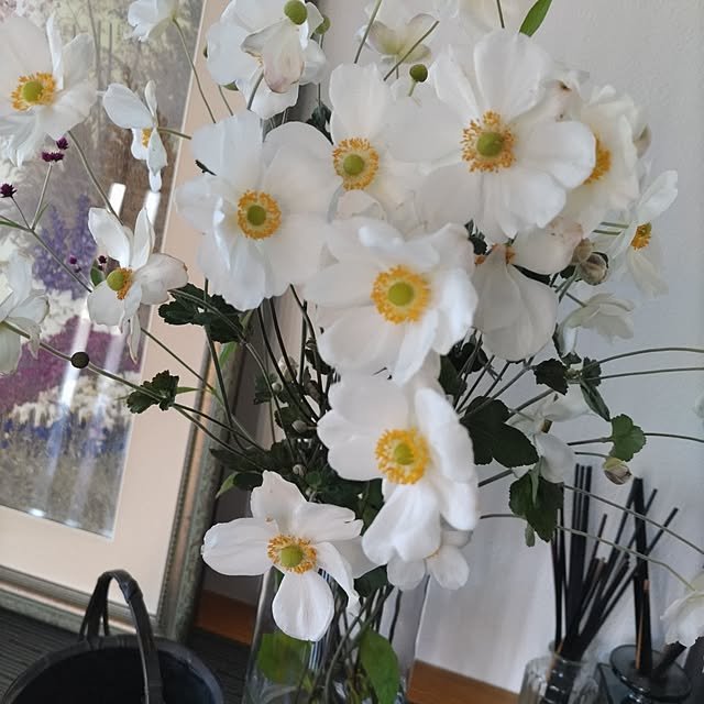 salacocoさんの実例写真