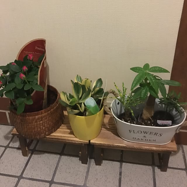 sara122さんの実例写真