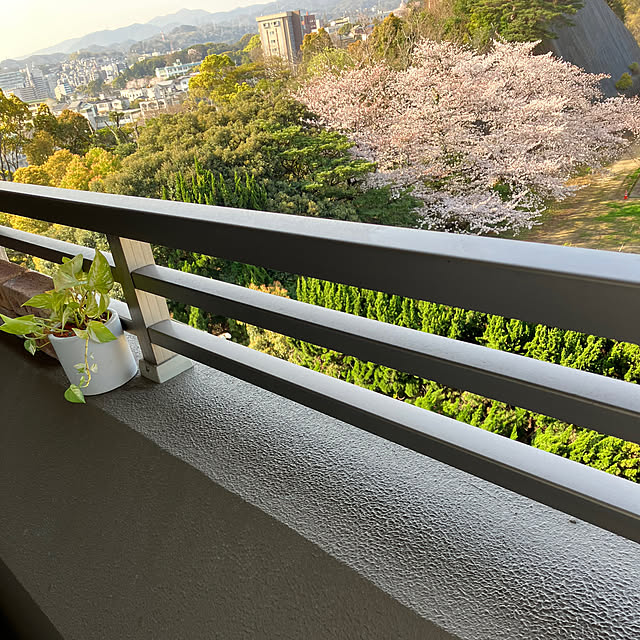 koshiregutyoさんの実例写真