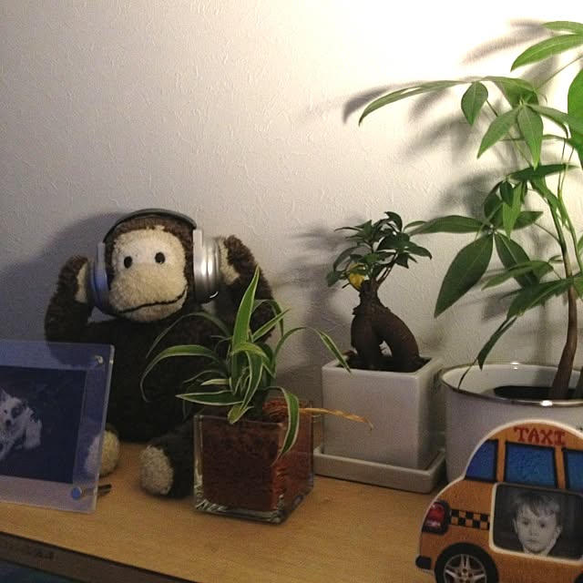 Ryuitiさんの実例写真