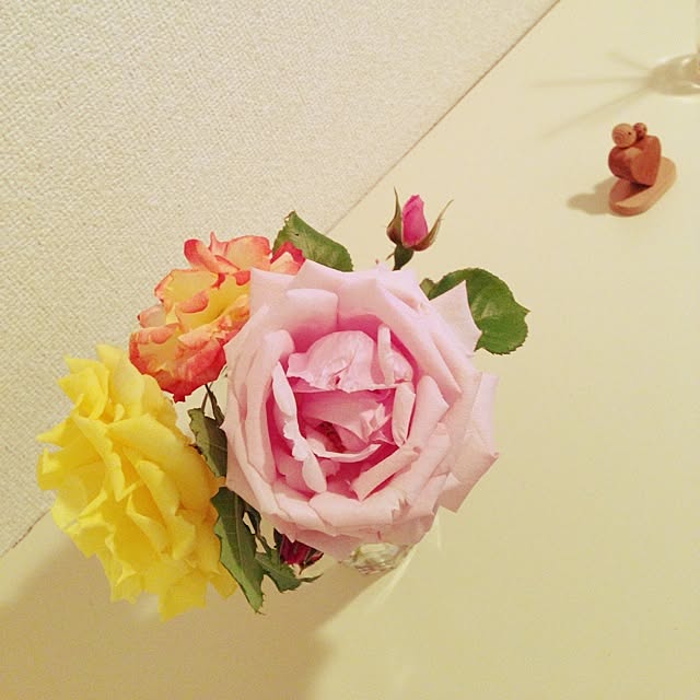 玄関/入り口/植物のインテリア実例 - 2014-05-29 14:44:09