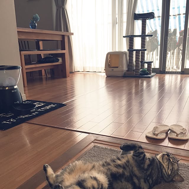 hiyupan88さんの実例写真