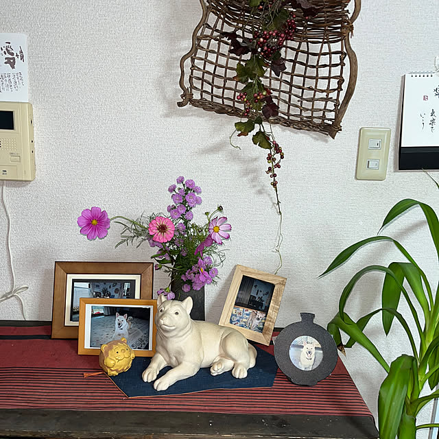 ritsukoさんの部屋