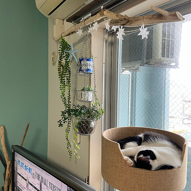 mtaさんの実例写真