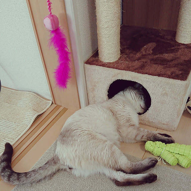 mar-kさんの実例写真