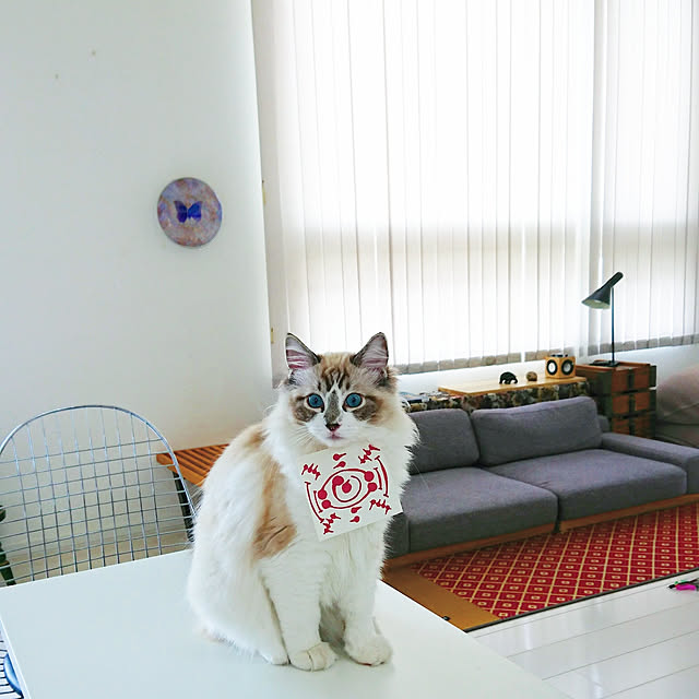 nonononakaさんの実例写真