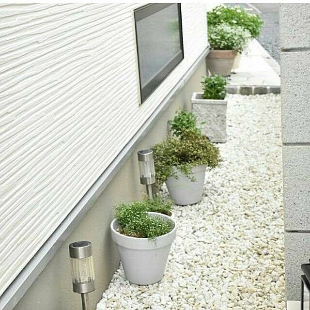 cam_riさんの実例写真